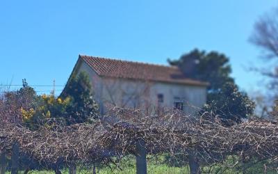 casa em aldeia