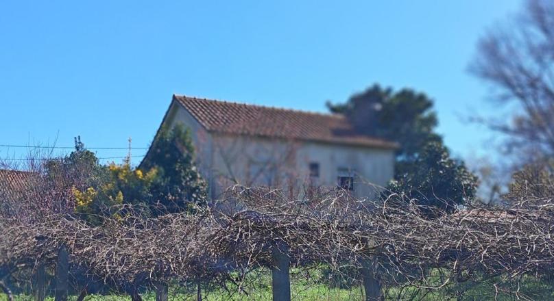 casa em aldeia