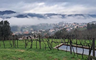 Terreno para construçao