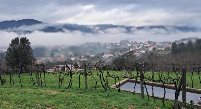 Terreno para construçao