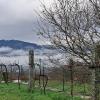 Terreno para construçao