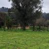 Terreno para construçao
